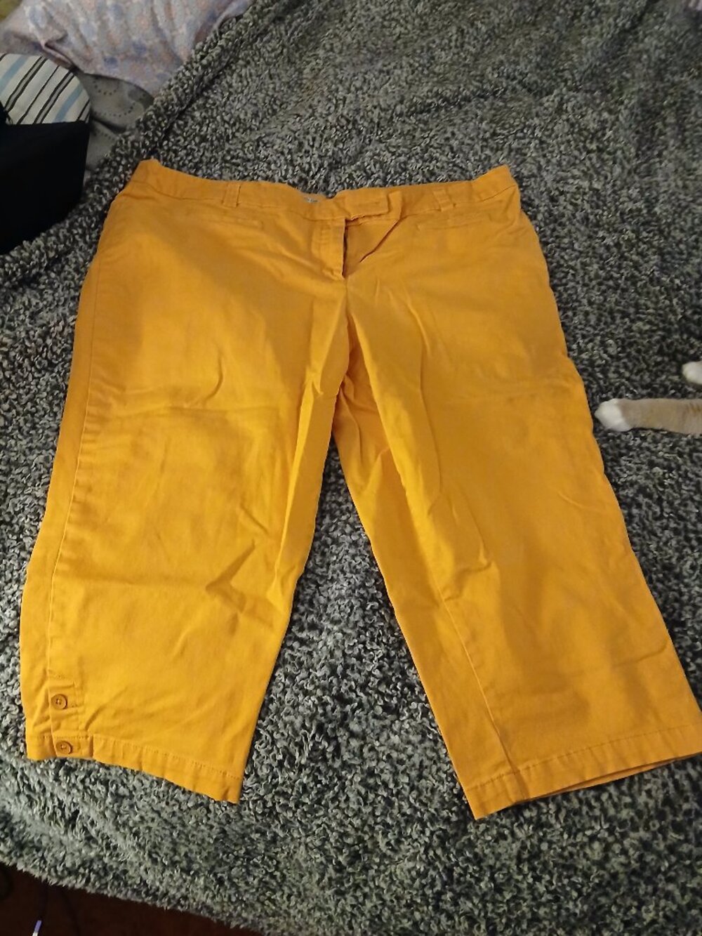 Womens Plus Size 20W Dalia Collection Orange Jeans Capris